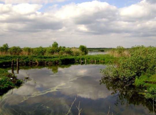 ������....