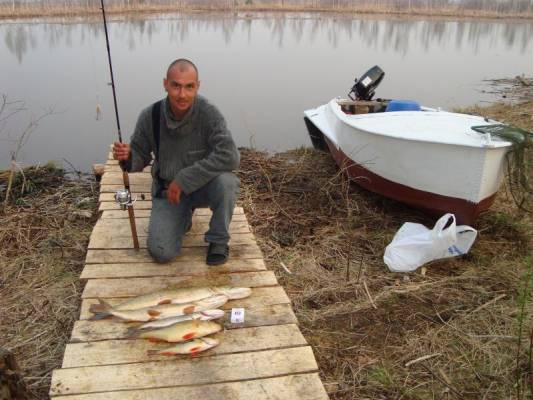 ��� ���� �� ������