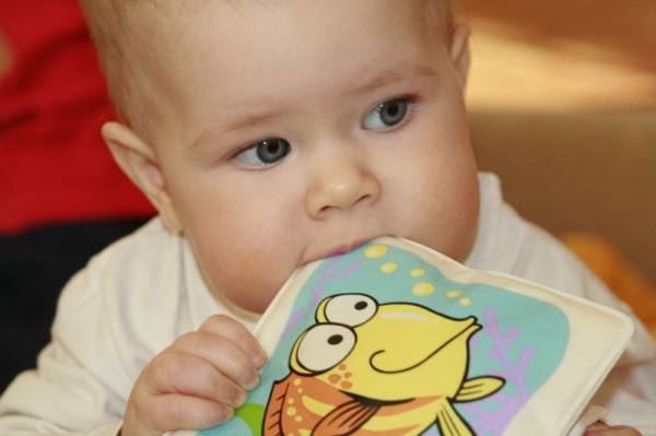 ����� �� ���