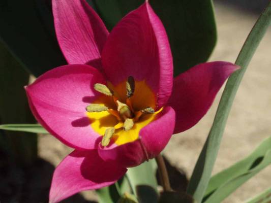 �������