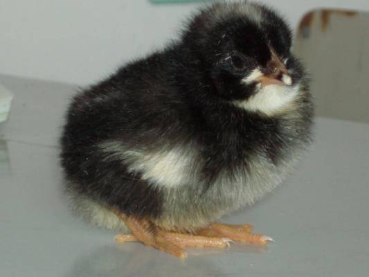 �������:)