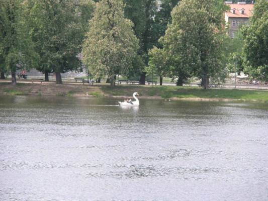 �����, 05/2009