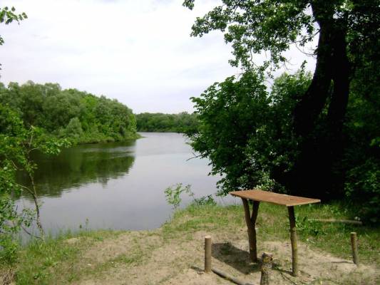 ���� ����