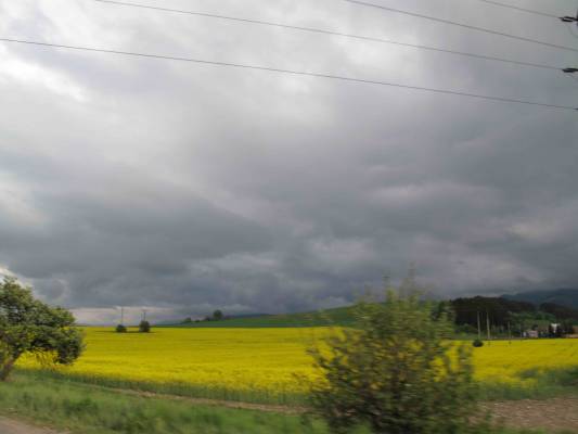 ��������, 05/2009