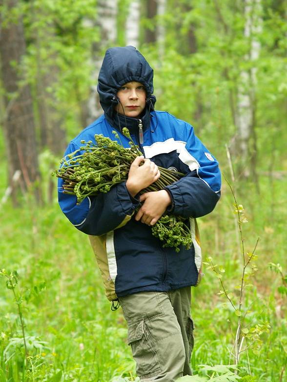 ���� �����������