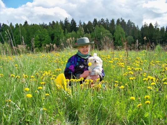 ����������