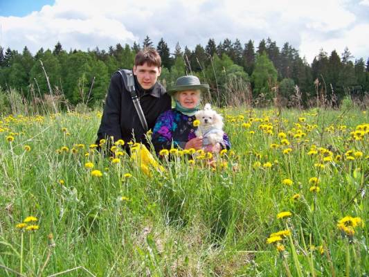 ���������� � ����