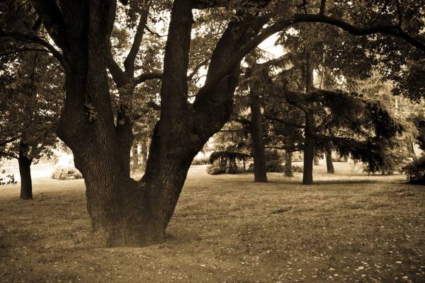 �������� ������� � ������ ������