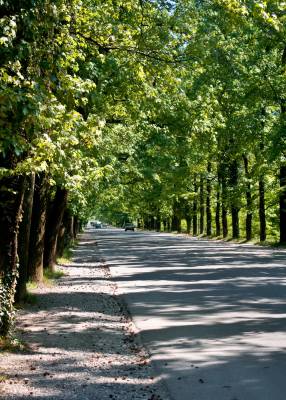 ����� � ���