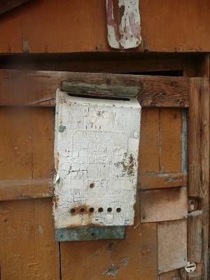 �����2009 (1)