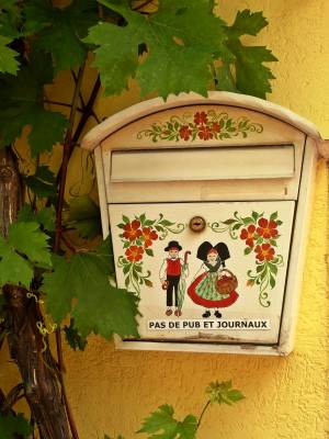 ������ 2008 (2)