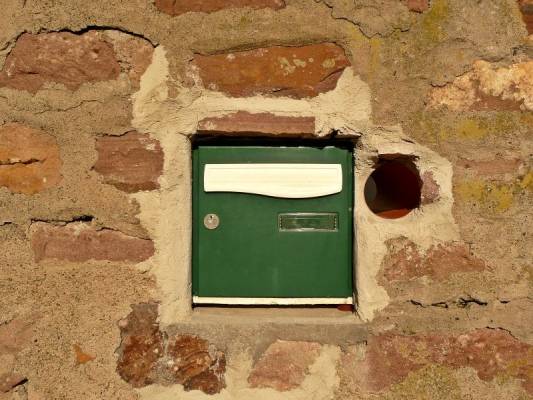 ������ 2008 (4)