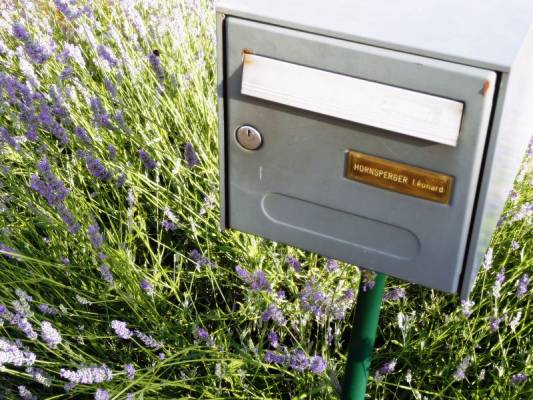 ������ 2008 (6)