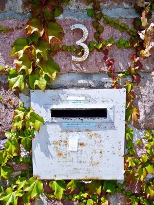 ������ 2008 (8)