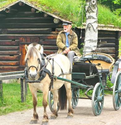 �������� �������