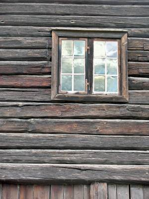 ������ ����