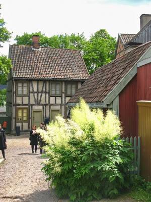 ������ �����