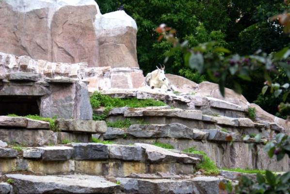 ������ ����� ��������