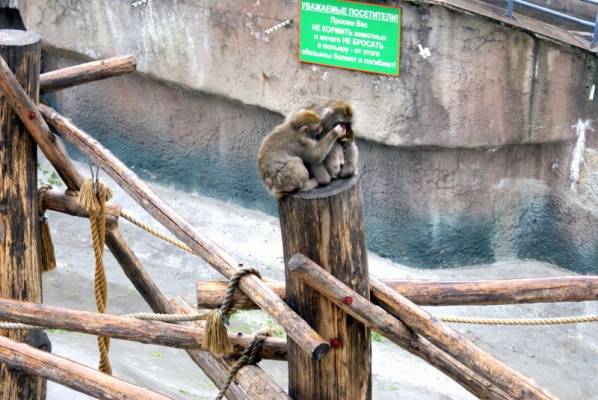 �������� ������