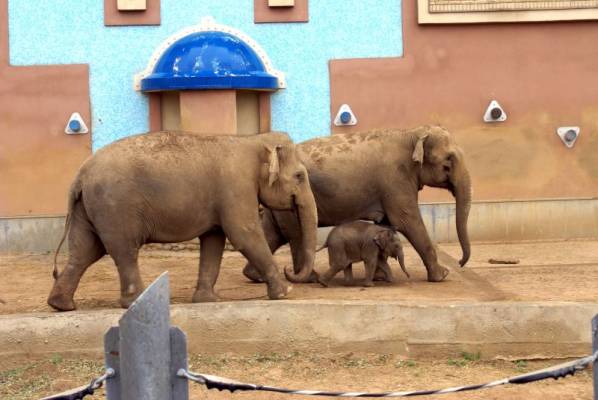 �� ���� � �������