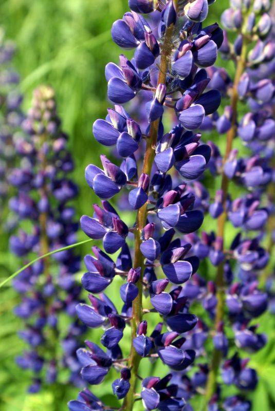 ���� � �������