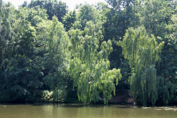 ���������� ������