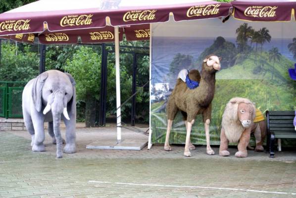 �������� �����