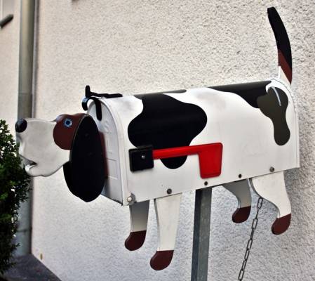 ��������� 2009 (6)