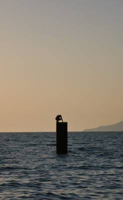 ��������� �� ������ 