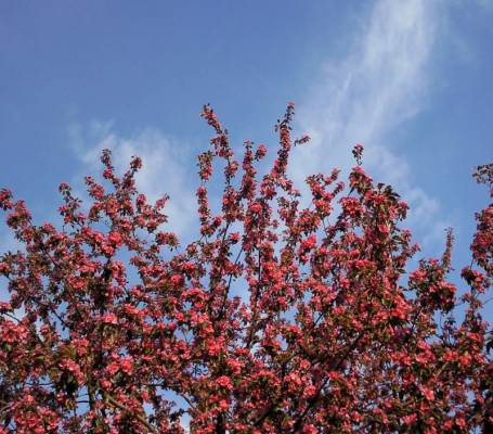 ���