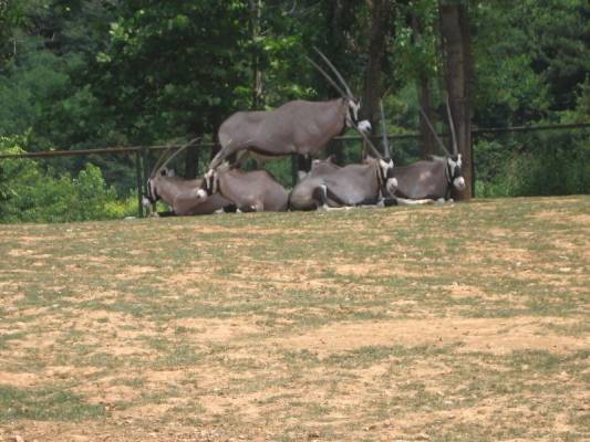 ������������