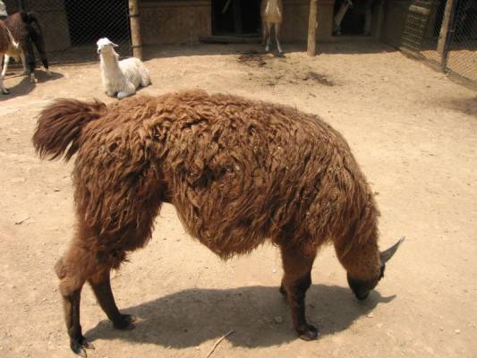 ������� ������� � �������