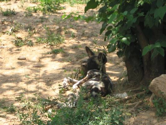 ������ �����������!