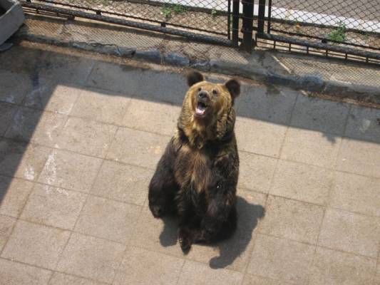 ����������