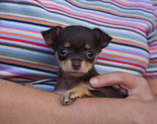 ��������)