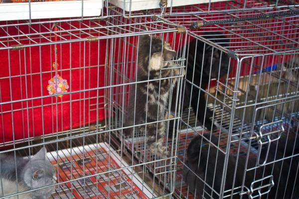 ��� ��� �� ��� �������? 