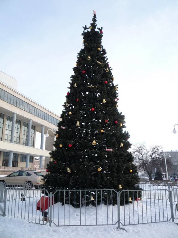 ���� ����