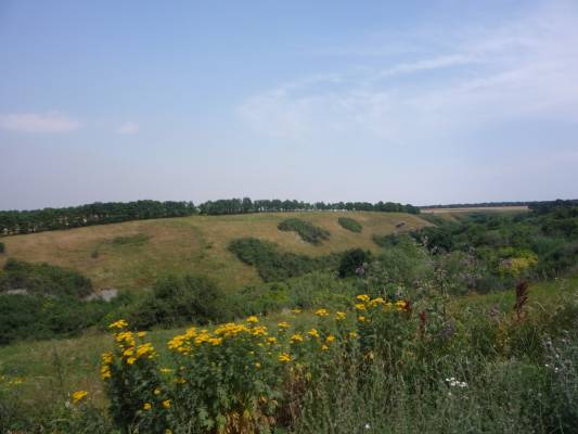 �� ����!