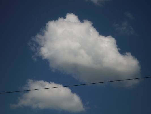 ������..