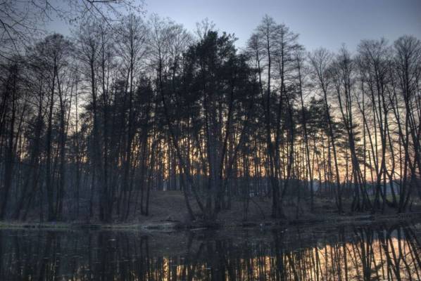 ����-������