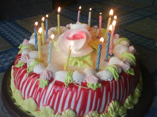 ���� �� 15-�����