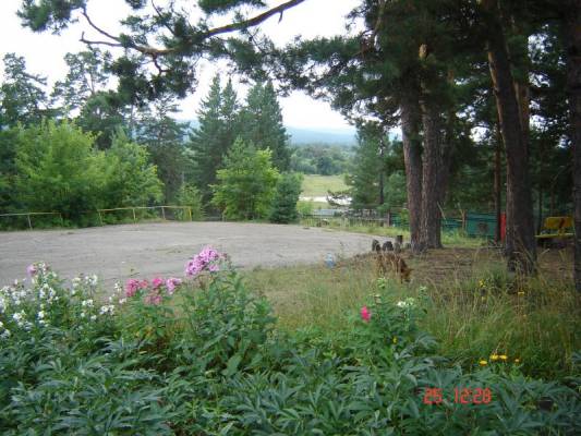 �� ���� ������