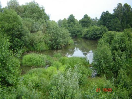 ���� ���������