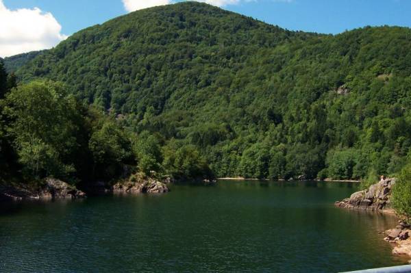 ����� � ������ Doller