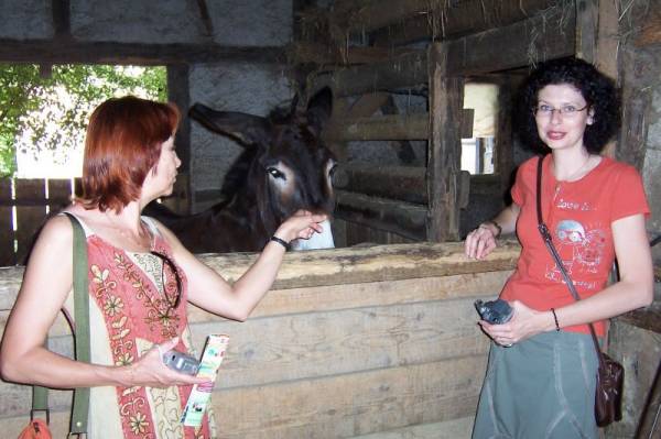 Eco �������� ����