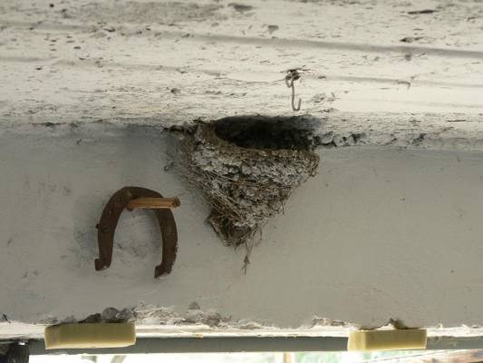 ���������� ������