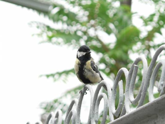 �������