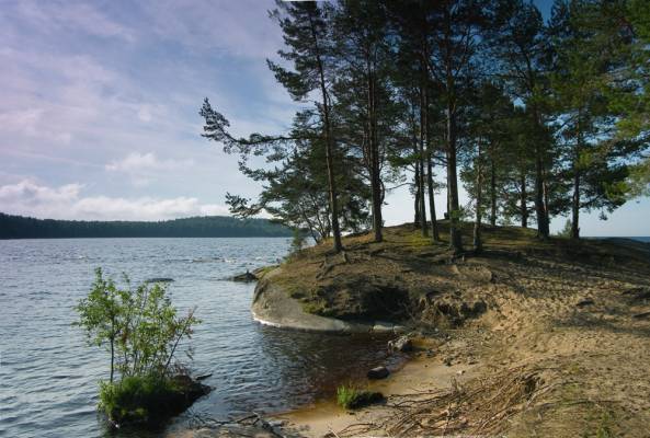 ����������� ����������