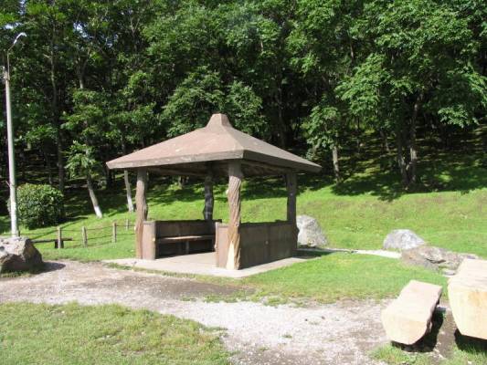 ��� ������