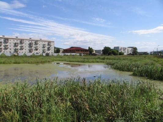 ��. ������